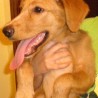 Isolda072005